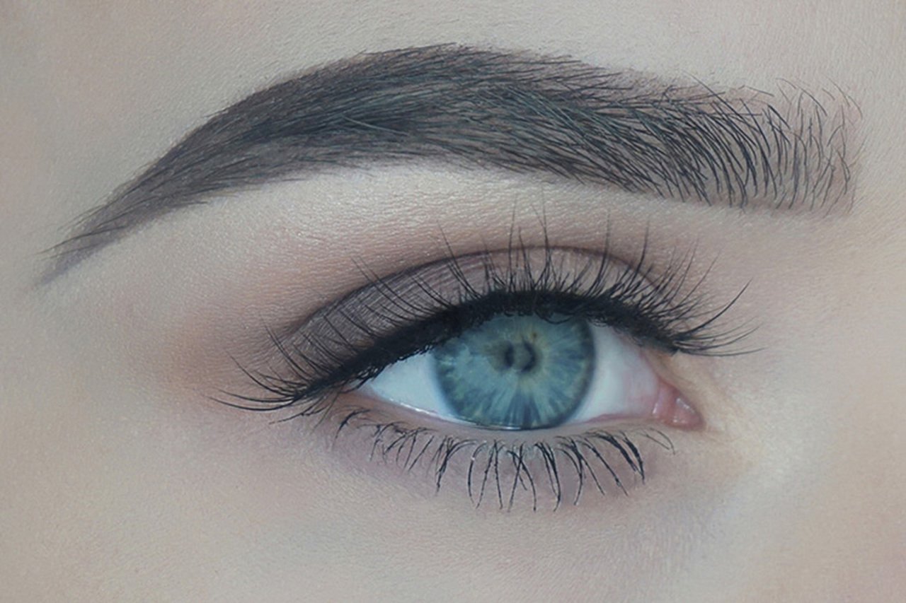 Roya - Lady Burgundy