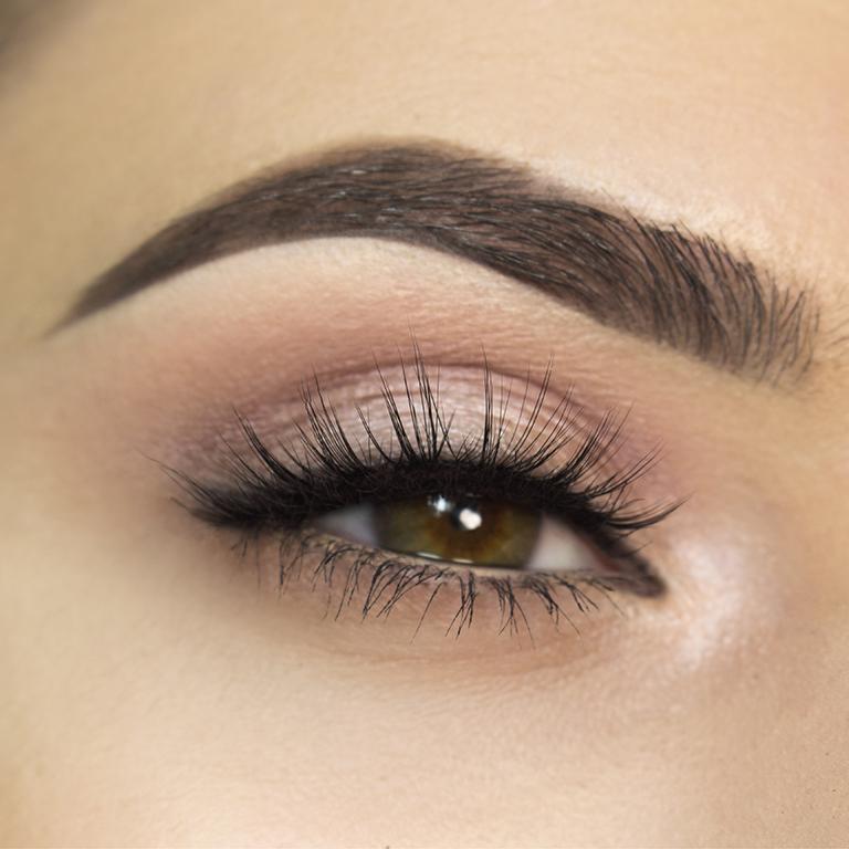 Amrita - Lady Burgundy