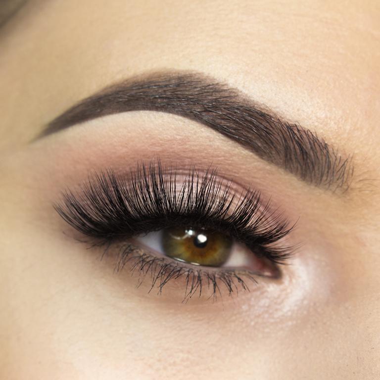 Jasmine - Lady Burgundy